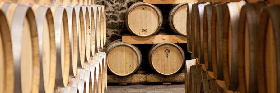 Le vin à l'épreuve des goûts