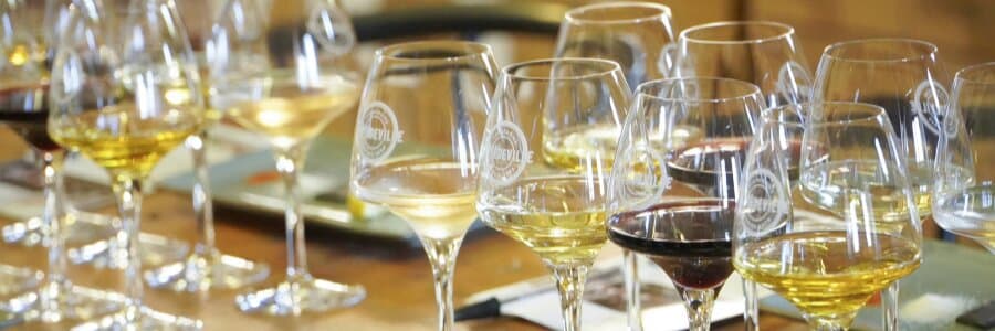 Le vin à l'épreuve des goûts